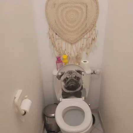 Charmantes Dans Un Moderne A Deux Pas De La